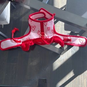Valentine dog harness ♥️